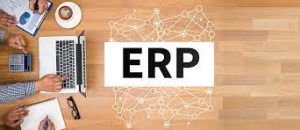 The Importance of Customizable ERP Software for Your Business